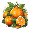 Orange - Illustration