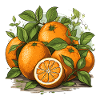 Orange - Illustration