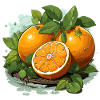 Orange - Illustration