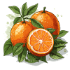 Orange - Illustration