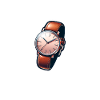 Klokkesamler Horolog samler klokker