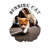 Running Cat
