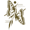 Dovetail Butterfly -Variant