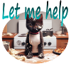 Kitchen Cat