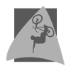 Mountain Bike MTB