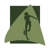 Skateboard Skateboarder