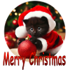 Merry Christmas Cat 02