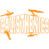 Calisthenics