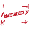 Calisthenics