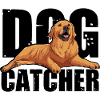 Dog Catcher Hund
