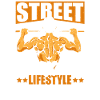 Calisthenics
