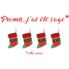 Promis J'ai été sage