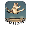 Jumping cat over keyboard
