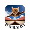 Banzai Cat 2