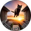 Sunset cat 2