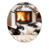 Lazy cat 4