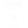 Snowflake counter