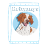 Brittany Epagneul Breton Dog Gift