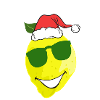 Bonne humeur Citron Noël