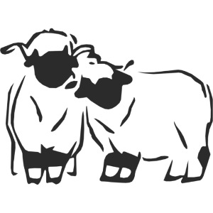 Walliser Schwarznasen - Freunde