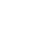THE END