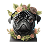 Pug with wreath