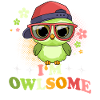 Owl Owls I'm Owlsome