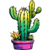 Cactus / Cacti / Plant / Desert / Botany