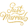 Newlyweds. Say it hereby-Just married!