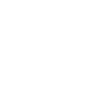 Leader