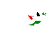Free palestine