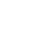 Labrador Retriever Dog