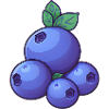 Blueberries Berries