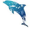 Dolphin Marine Life