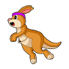Kangaroo Jogger Jogging Sport