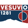 Wandelen Vesuvius Vesuvio Napels Vulkaan Berg Souvenir