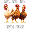 CHICKEN EGG CHICKENS