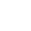 Année du Dragon 2024