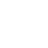 Année du Dragon 2024