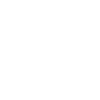 Année du Dragon 2024