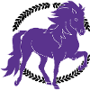 Icelandic Horse Tölter