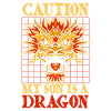 Année du Dragon 2024