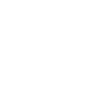 Année du Dragon 2024