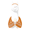 Christian Christianity Lama