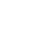 seagulls neg