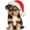 Christmas puppy