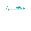 Heartbeat Line Bison Animal
