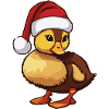 Christmas duck