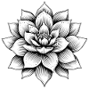 Lotusblüte