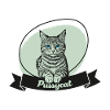 pussycat1